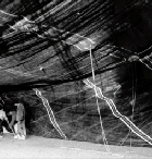 Carpa, Circo Italiano