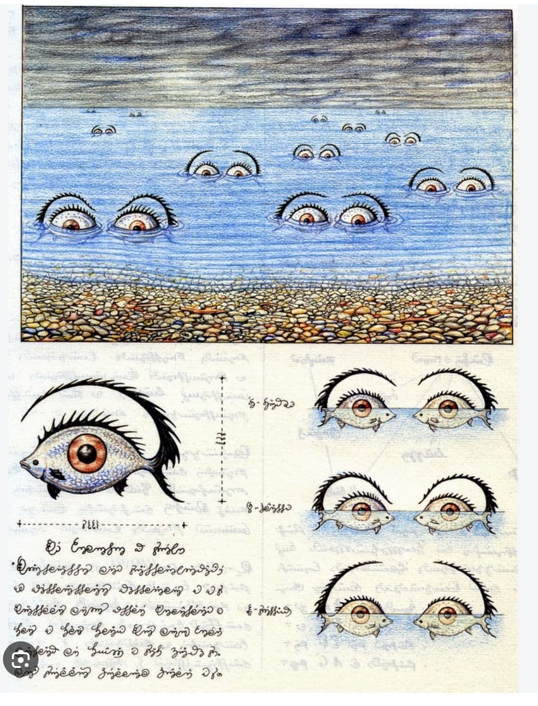 Eva Blanch Codex Pag Ojos