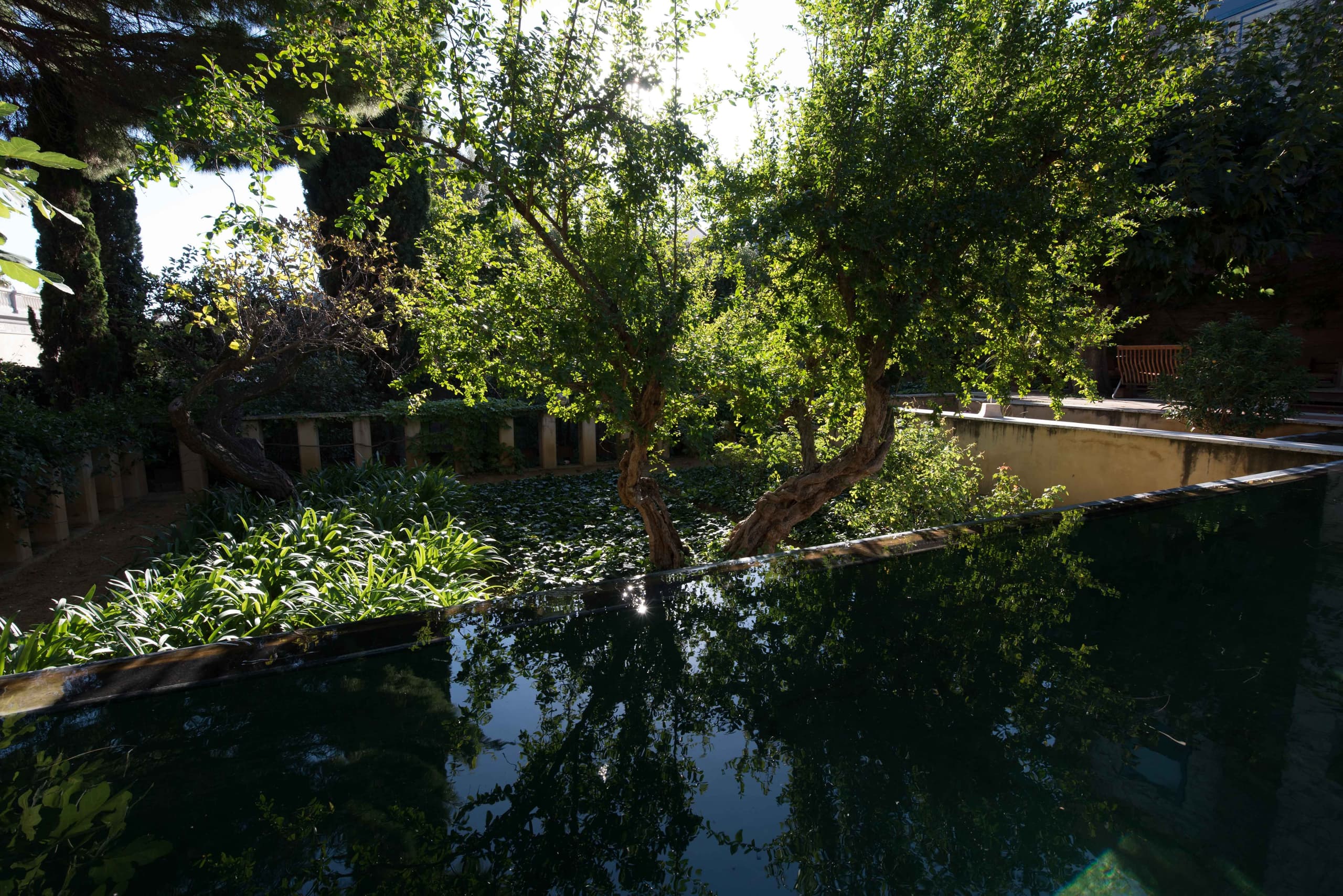 Eva Blanch 2024 Jardinvillaandrea Magraner Piscina©eblanchd1030